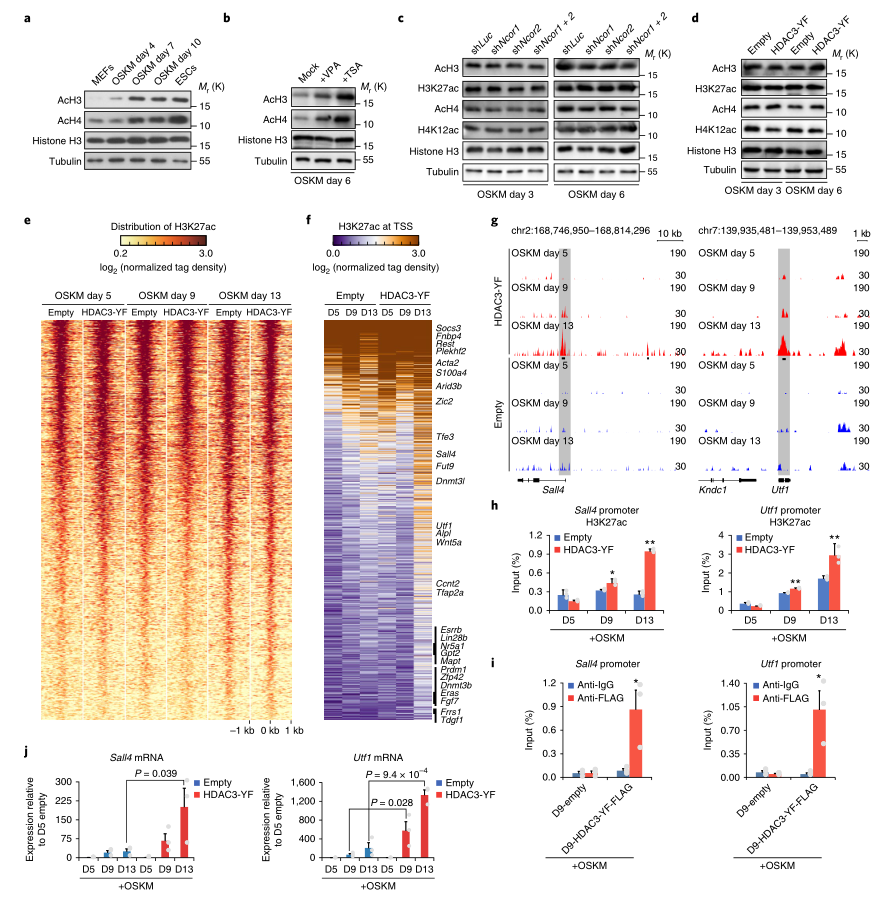 LC-MS/MS蛋白質(zhì)譜鑒定、LC-MS/MS實(shí)驗(yàn)、LC-MS/MS技術(shù)服務(wù).png