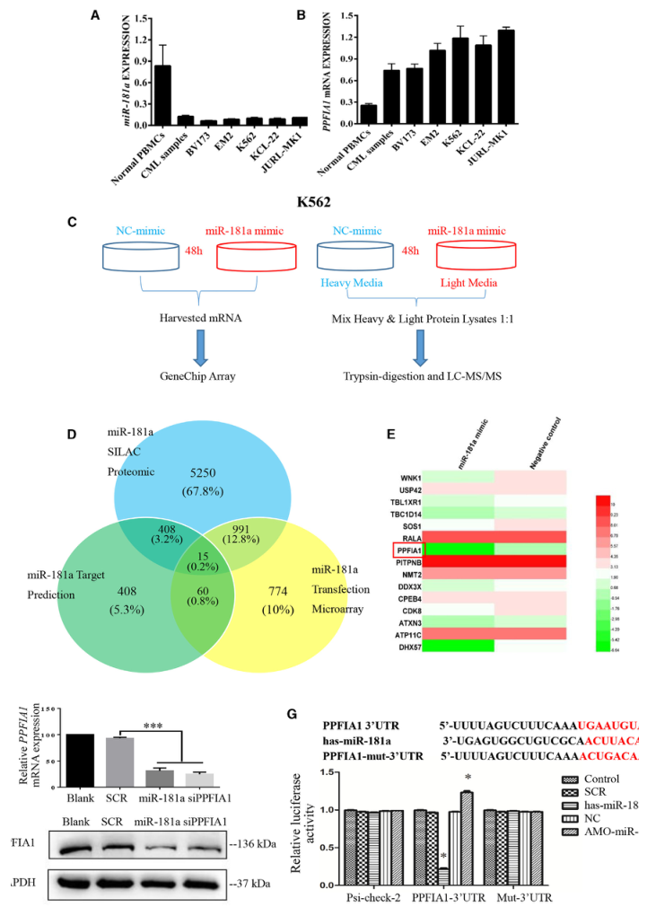 SILAC實驗、Co-IP技術服務-客戶文獻-輝駿生物.png
