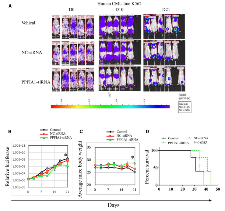 SILAC實驗、Co-IP技術服務-客戶文獻-輝駿生物.png