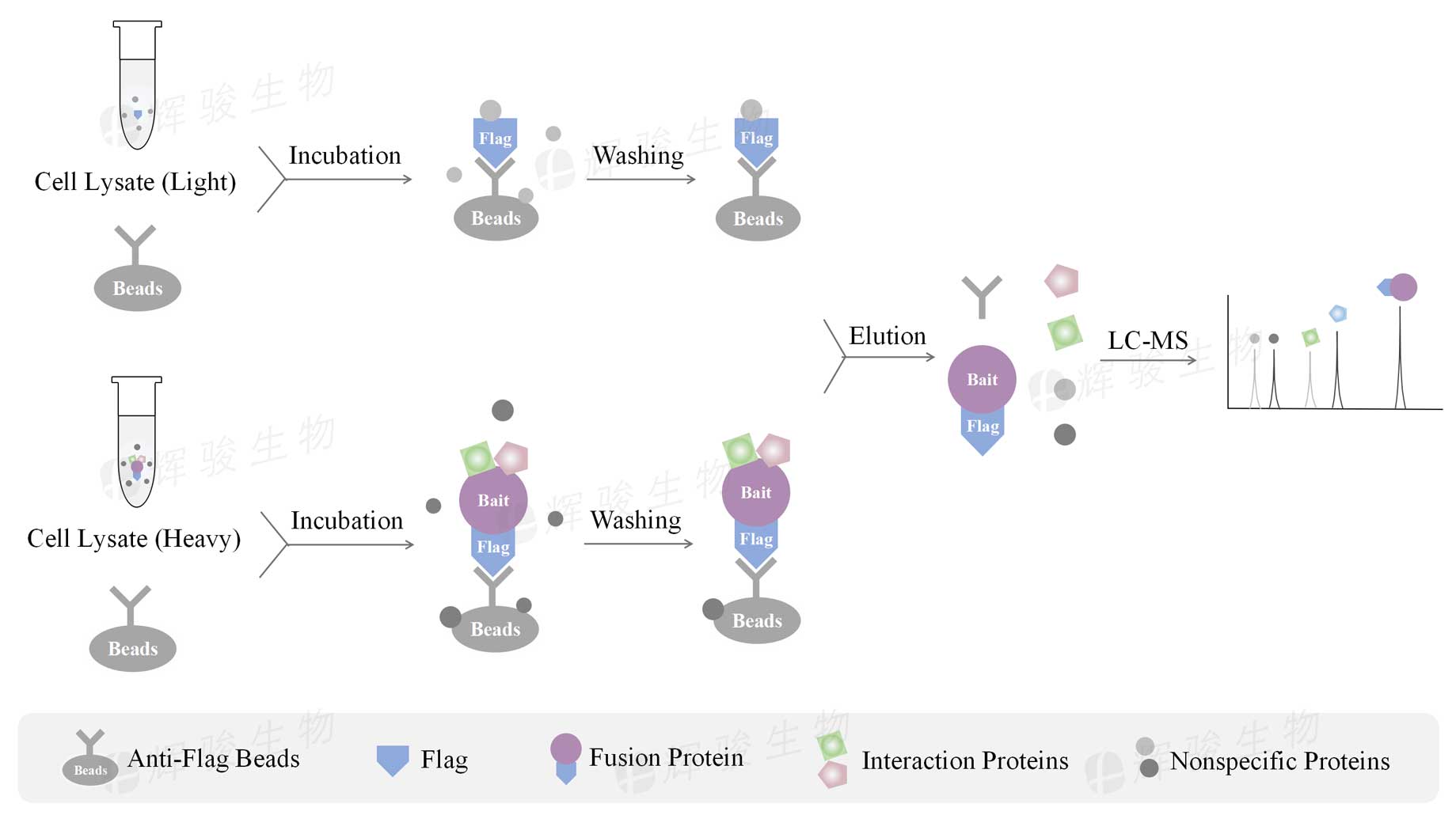 SILAC IP代做_silac ip外包平臺.jpg SILAC IP代做_silac ip外包平臺.jpg