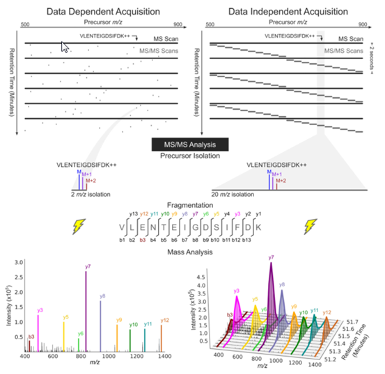 1636083511259518.png 圖片.png