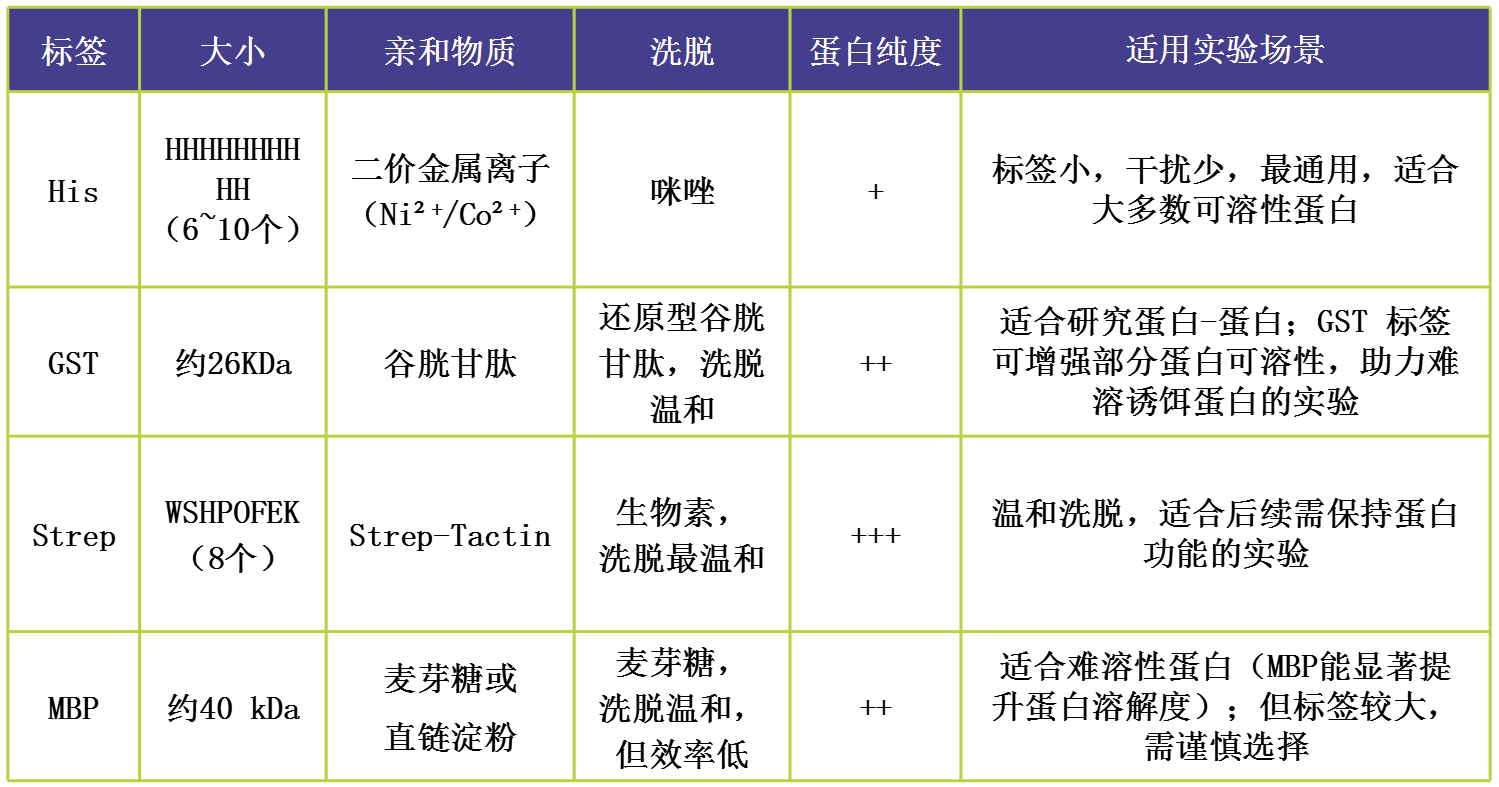 輝駿生物4種親和標(biāo)簽對(duì)比，分別為：His、GST、Strep、MBP，專業(yè)提供各類型標(biāo)簽蛋白試劑盒.png