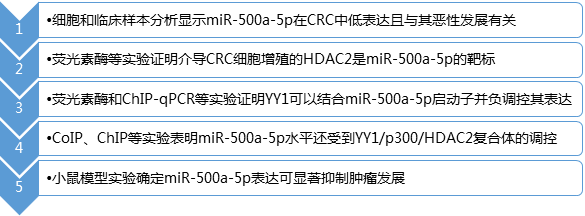 研究路線(xiàn).jpg